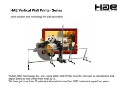 HAE Vertical Wall Printer Series                                     
-New solution and technology for wall decoration
Wuhan