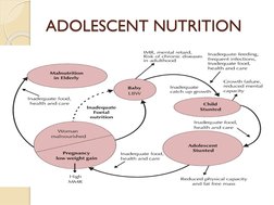 ADOLESCENT NUTRITION
