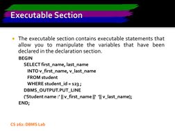 CS 262: DBMS Lab
The executable section contains executable statements that
allow you to manipulate the variables that have