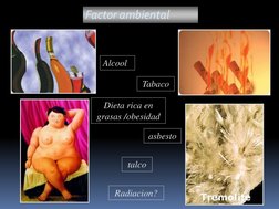 Factor ambiental
Alcool
Tabaco
asbesto
Dieta rica en 
grasas /obesidad
talco
Radiacion?
