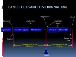 CANCER DE OVARIO: HISTORIA NATURAL
Symptoms
Diagnosis
Chemotherapy #1
Staging
Evaluation
? SLL
Progression
Chemo #2
Chemo #3+