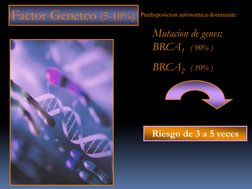 Factor Genetco (5-10%)
Mutacion de genes: 
BRCA1 ( 90% )
BRCA2   ( 10% )
Riesgo de 3 a 5 veces
Predisposicion autosomica domi