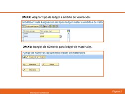 Página 5
Informacion Confidencial
OMX3:  Asignar tipo de ledger a ámbito de valoración.
OMX4:  Rangos de números para ledger
