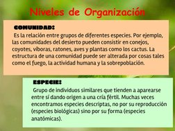 Niveles de Organización 
COMUNIDAD: 
Es la relación entre grupos de diferentes especies. Por ejemplo, 
las comunidades del de
