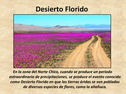 Flora y Fauna del Norte de Chile | PDF