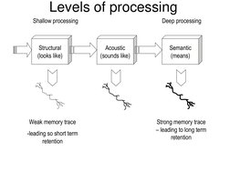 Craik & Lockhart's Levels of Processing | PDF | Recall (Memory) | Memory