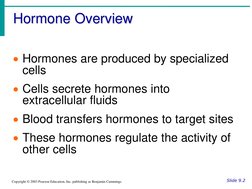 Hormone Overview
Slide 9.2
Copyright © 2003 Pearson Education, Inc. publishing as Benjamin Cummings
Hormones are produced by