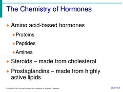 The Chemistry of Hormones
Slide 9.3
Copyright © 2003 Pearson Education, Inc. publishing as Benjamin Cummings
Amino acid-base