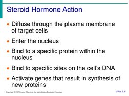 Steroid Hormone Action
Slide 9.6
Copyright © 2003 Pearson Education, Inc. publishing as Benjamin Cummings
Diffuse through th