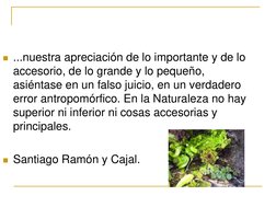...nuestra apreciación de lo importante y de lo 
accesorio, de lo grande y lo pequeño, 
asiéntase en un falso juicio, en un
