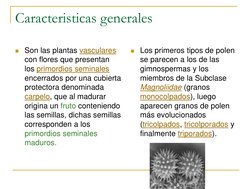 Caracteristicas generales
Son las plantas vasculares
con flores que presentan 
los primordios seminales
encerrados por una c