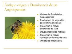 (http://www.elpais.com/recorte/20080604elpepusoc_4/LCO340/Ies/abeja_europea_posa_flor.jpg) (http://www.elpais.com/recorte/20