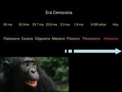 Era Cenozoica
65 ma        55.5ma    33.7 ma   23.8 ma    5.3 ma     1.8 ma         8.000 años        Hoy
Paleoceno  Eoceno