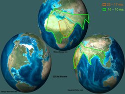22 – 17 ma.
16 – 10 ma.
