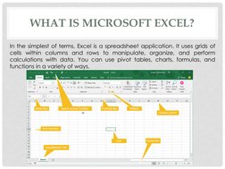 WHAT IS MICROSOFT EXCEL?
In the simplest of terms, Excel is a spreadsheet application. It uses grids of
cells within columns