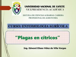 CURSO: ENTOMOLOGIA AGRÍCOLA
Ing. Edward Eliseo Vélez de Villa Vargas 
UNIVERSIDAD NACIONAL DE CAÑETE
VICEPRESIDENCIA ACADÉMIC