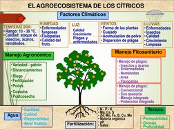 •Enfermedades
• Calidad
•Crecimiento
LUZ: 
Calidad 
Crecimiento 
Plagas y 
enfermedades
- Enfermedades
•Riego
•Cosecha
- Con