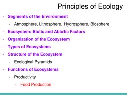 Principles of Ecology
-
Segments of the Environment
-
Atmosphere, Lithosphere, Hydrosphere, Biosphere
-
Ecosystem: Biotic and