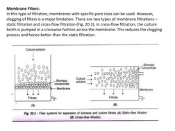Downstream Processing in Industrial Biotechnology | PDF ...