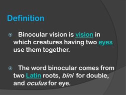 Definition

Binocular vision  (http://en.wikipedia.org/wiki/Visual_perception)is vision in 
which creatures having two eyes