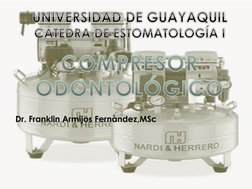 Dr. Franklin Armijos Fernàndez,MSc
