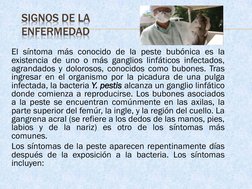 SIGNOS DE LA 
ENFERMEDAD
El síntoma más conocido de la peste bubónica es la
existencia de uno o más ganglios linfáticos infec