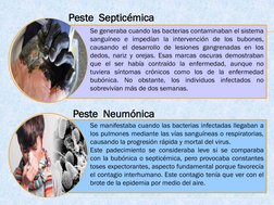 Se generaba cuando las bacterias contaminaban el sistema
sanguíneo e impedían la intervención de los bubones,
causando el des