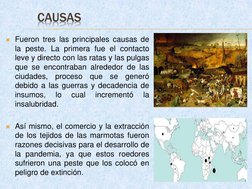 CAUSAS
Fueron tres las principales causas de
la peste. La primera fue el contacto
leve y directo con las ratas y las pulgas