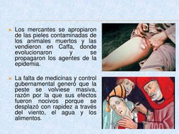 Los mercantes se apropiaron
de las pieles contaminadas de
los animales muertos y las
vendieron
en
Caffa,
donde
evolucionaron