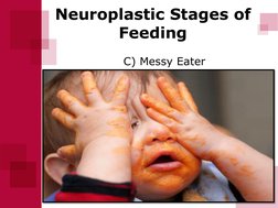 Neuroplastic Stages of 
Feeding 
 
      C) Messy Eater 
