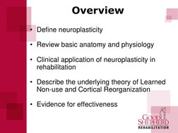Overview 
 
• Define neuroplasticity 
 
• Review basic anatomy and physiology 
 
• Clinical application of neuroplasticity in