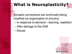 What is Neuroplasticity? 
• Synaptic connections are continually being 
modified (re-organisation of circuitry)  
 
– I