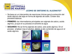 ¿COMO SE OBTIENE EL ALGINATO?
• Se basa en un intercambio de reacciones iónicas para la extracción del 
ácido algínico del al