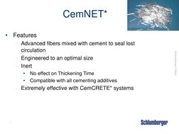 Cemnet Problem CemNET: Advanced Lost Circulation Solution | PDF | Casing (Borehole ...