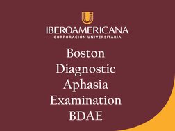 Examen de Afasia de Boston (BDAE) | PDF