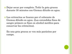 Dejar secar por completo. Teñir la gota gruesa 
durante 30 minutos con Giemsa diluido en agua. 
Los eritrocitos se lisaran