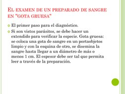 EL EXAMEN DE UN PREPARADO DE SANGRE
EN "GOTA GRUESA"
El primer paso para el diagnóstico. 
Si son vistos parásitos, se debe