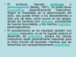 • El
producto,
llamado
partenote
o
partenogenone (Beatty, 1957)., no podrá llevar
cromosomas
específicamente
masculinos.
Segú