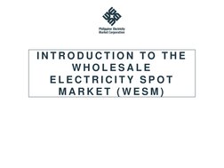 I N T R O D U C T I O N  T O  T H E  
W H O L E S A L E  
E L E C T R I C I T Y  S P O T  
M A R K E T  ( W E S M )
