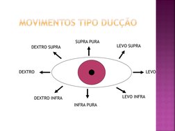DEXTRO SUPRA
SUPRA PURA
LEVO SUPRA
LEVO
LEVO INFRA
INFRA PURA
DEXTRO INFRA
DEXTRO

