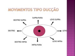 DEXTRO SUPRA
SUPRA PURA
LEVO SUPRA
LEVO
LEVO INFRA
INFRA PURA
DEXTRO INFRA
DEXTRO
