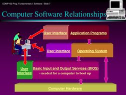 Software | PDF | Computer Program | Programming