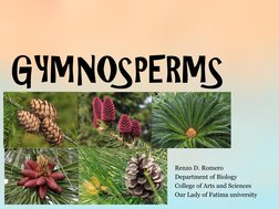 GYMNOSPERMS 
Renzo D. Romero 
Department of Biology 
College of Arts and Sciences 
Our Lady of Fatima university 
