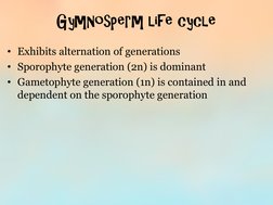 Gymnosperm life cycle 
• Exhibits alternation of generations 
• Sporophyte generation (2n) is dominant 
• Gametophyte generat