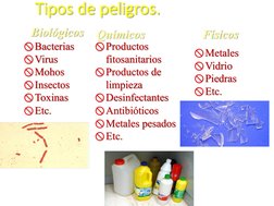 Tipos de peligros.
xMetales
xVidrio
xPiedras
xEtc.
xProductos 
fitosanitarios
xProductos de 
limpieza
xDesinfectantes
xAntibi