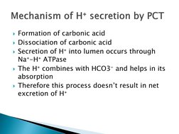 Formation of carbonic acid
Dissociation of carbonic acid
Secretion of H⁺ into lumen occurs through 
Na⁺-H⁺ ATPase
The H⁺
