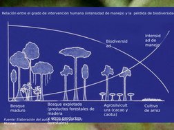Relación entre el grado de intervención humana (intensidad de manejo) y la  pérdida de biodiversidad
Intensid
ad de 
manejo
B