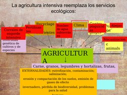 Diversidad 
genética de 
cultivos y de 
especies
La agricultura intensiva reemplaza los servicios 
ecológicos:
AGRICULTUR
A