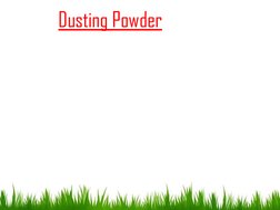 Dusting Powder
