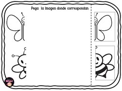 Pega  la imagen donde correspondan 
